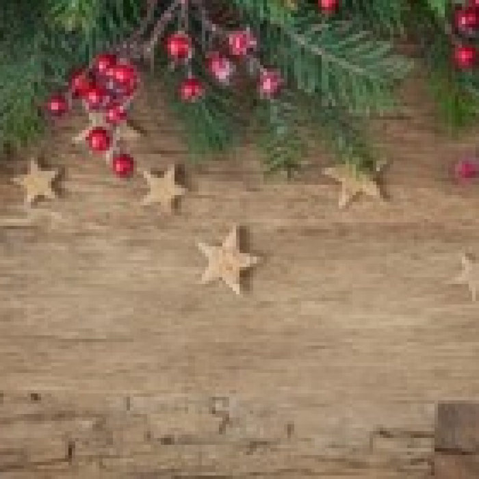 The Perfect Stocking Stuffers for a Shuffleboard Owner