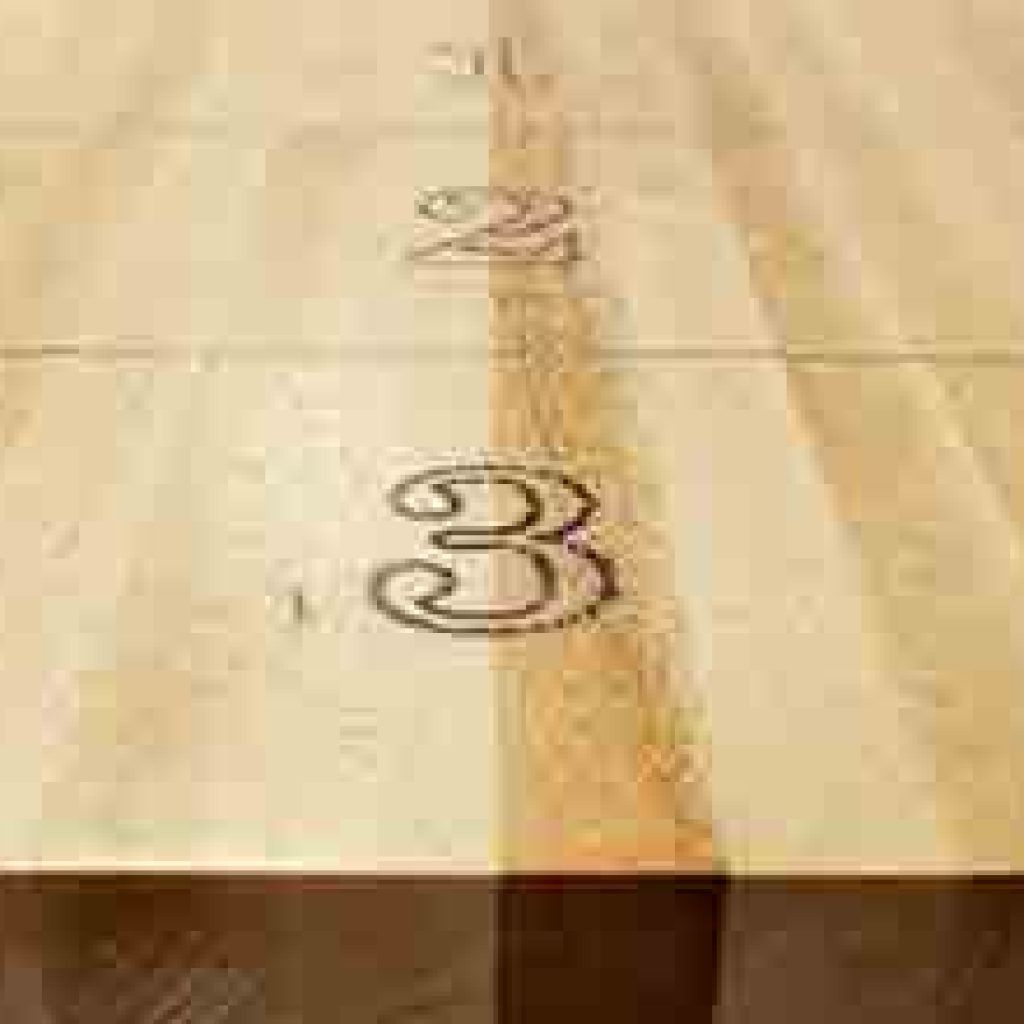 Even without the Whole Table You Can Enjoy Shuffleboard in Your Home