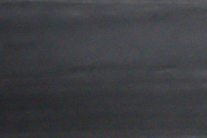Wood Sample
