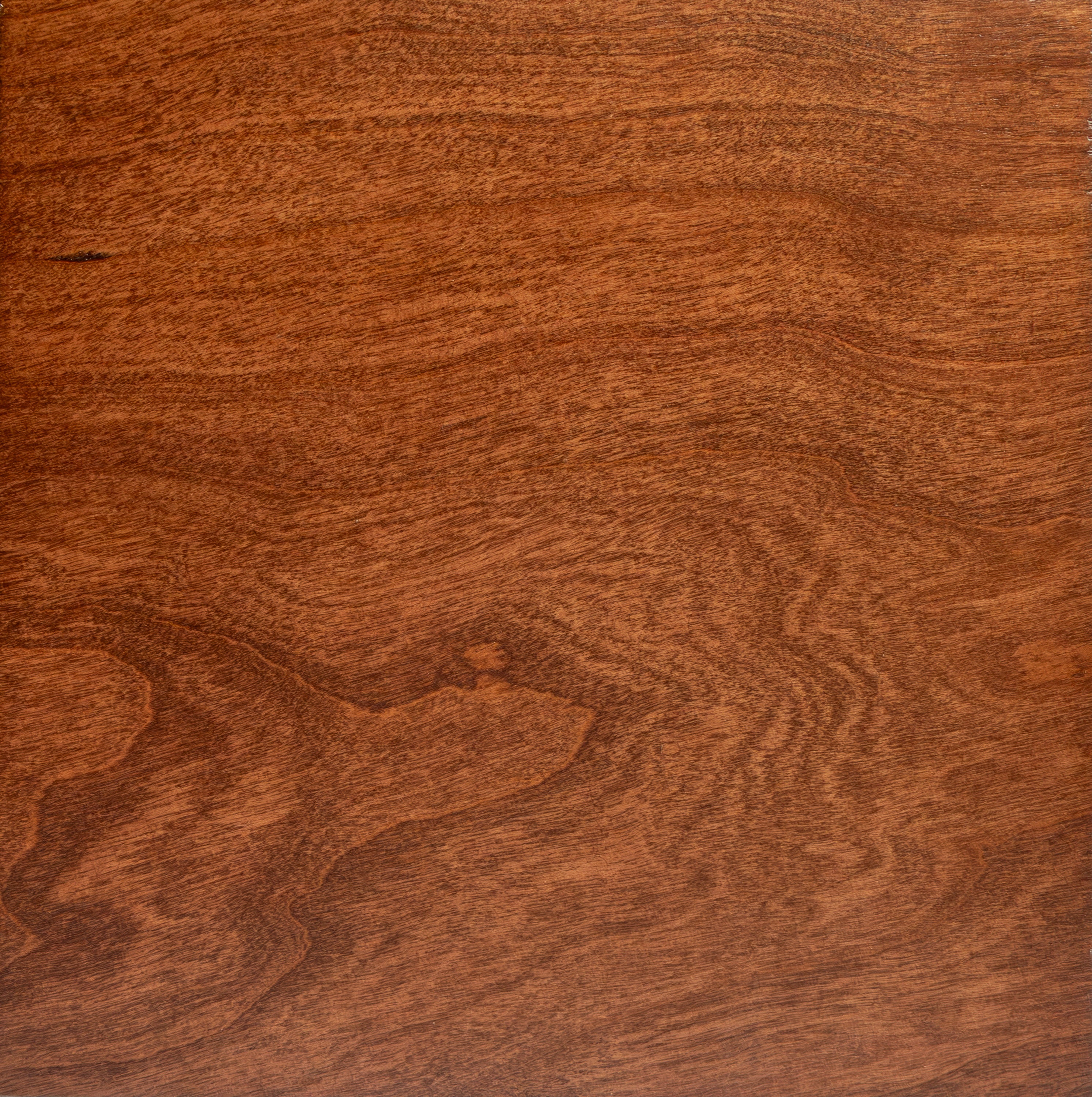 Warm Chestnut